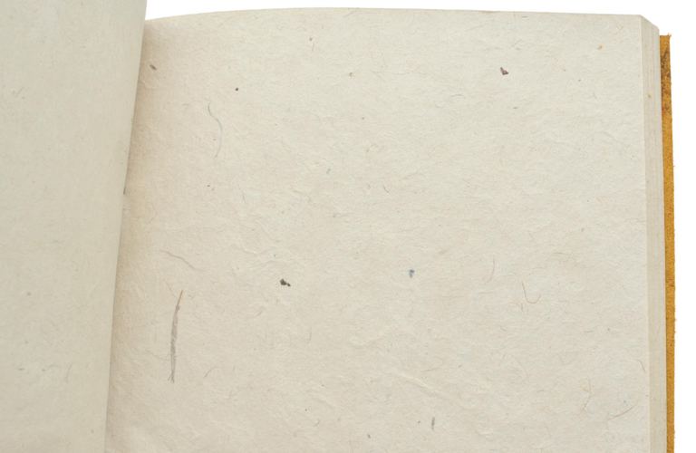 Nepali Field Book Notebook Caramel Medium