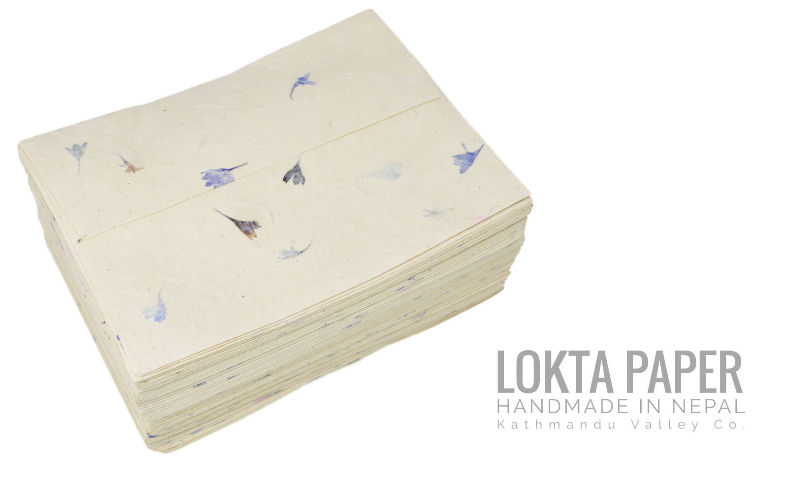 Handmade Cornflower Lokta Paper Envelopes 5x7
