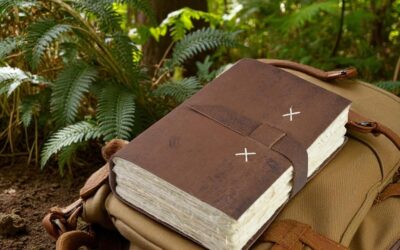 The Nepali Traveler: Your Rugged Companion for the Road