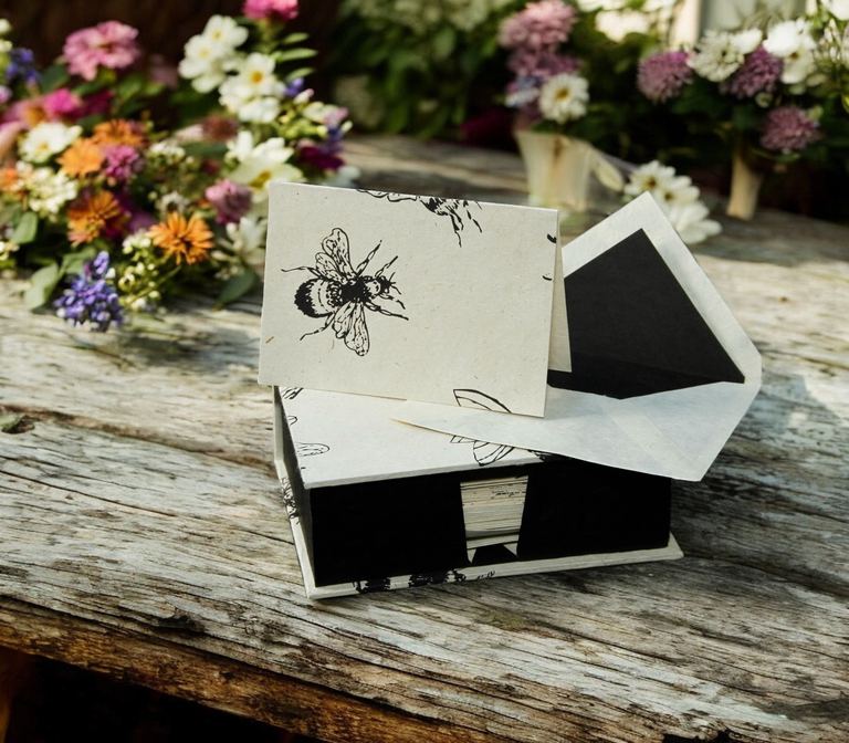 The 25-card Bees set in its black-sided box among wildflowers
