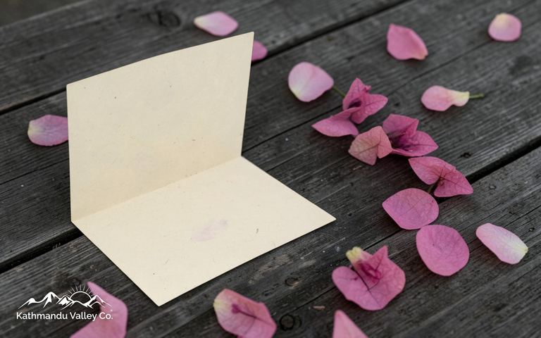 A Bougainvillea card and envelope on dark wood among scattered pink petals