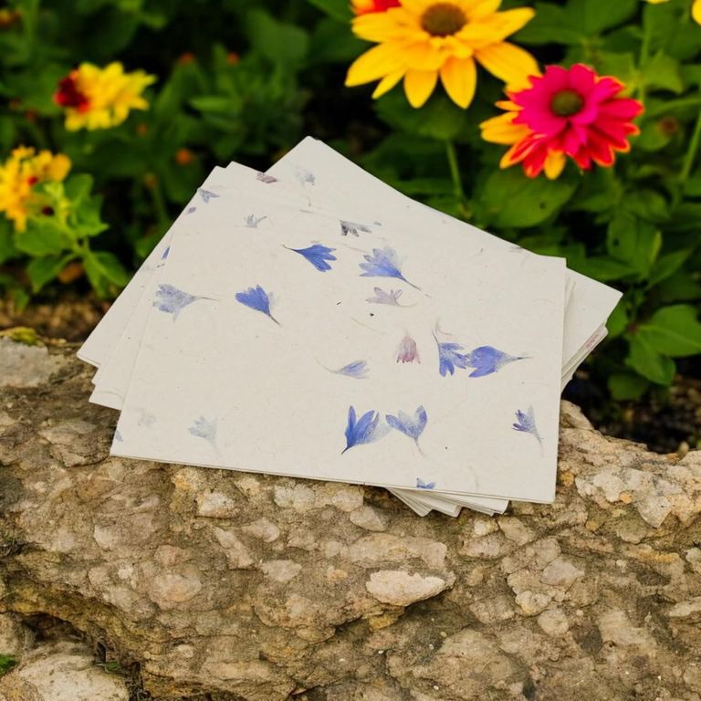Cornflower Cherish Cards fanned out on a rock among garden flowers