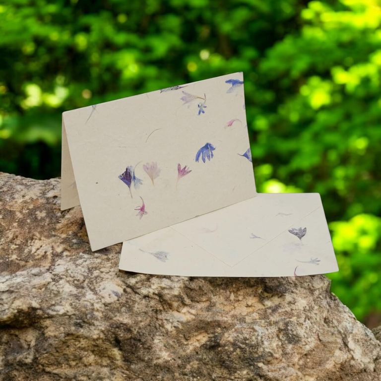 A Cornflower card and envelope on a mossy rock in the forest