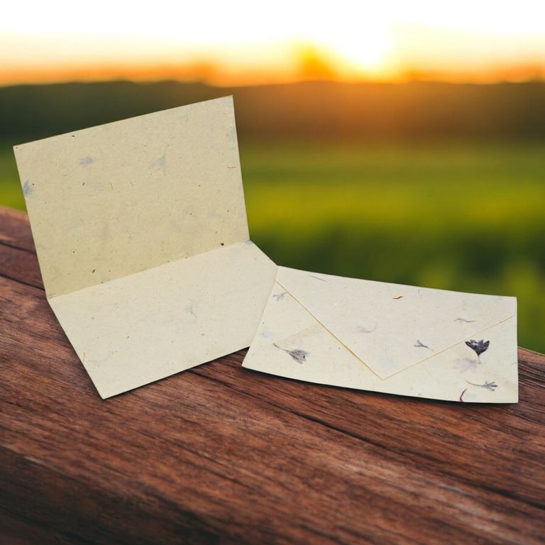 A Cornflower card and envelope on a wooden rail at sunset