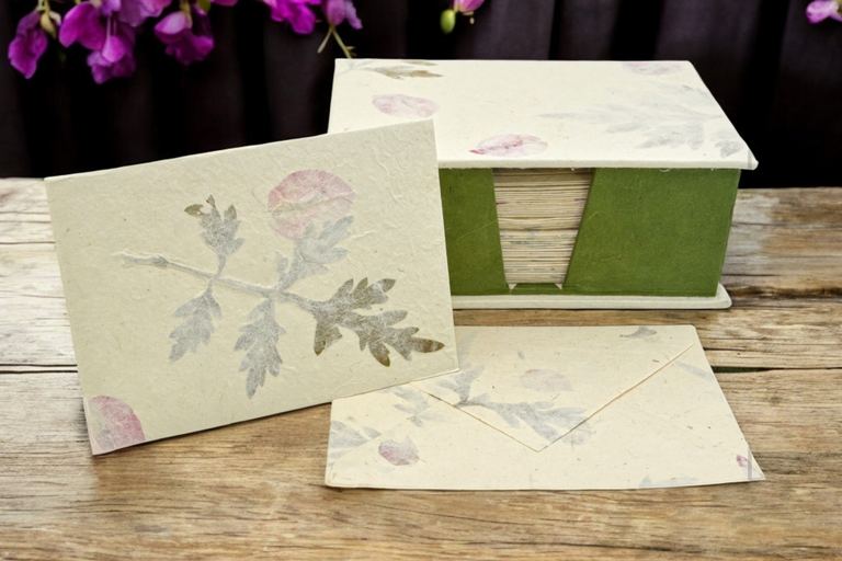The 25-card Forest Wanderer set in its green-sided box among flowers