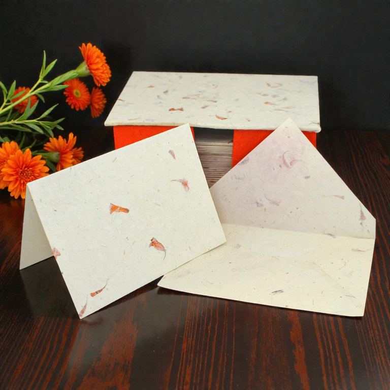 The 25-card Marigold set in its orange-sided box beside orange marigolds