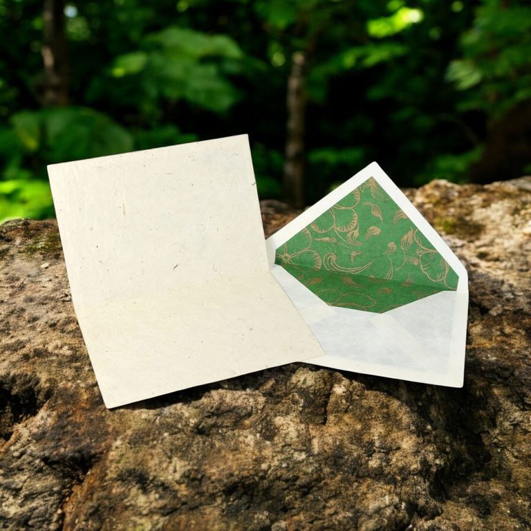 A Rainforest card with its green-lined envelope on a mossy rock