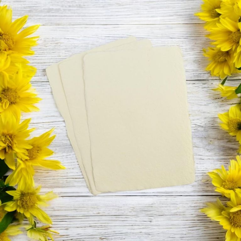 Three sheets of off-white 5×7 cotton card stock on white boards framed by yellow flowers