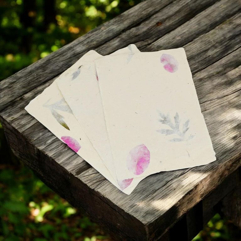 Forest Wanderer card stock fanned out on a rustic wooden bench in dappled light