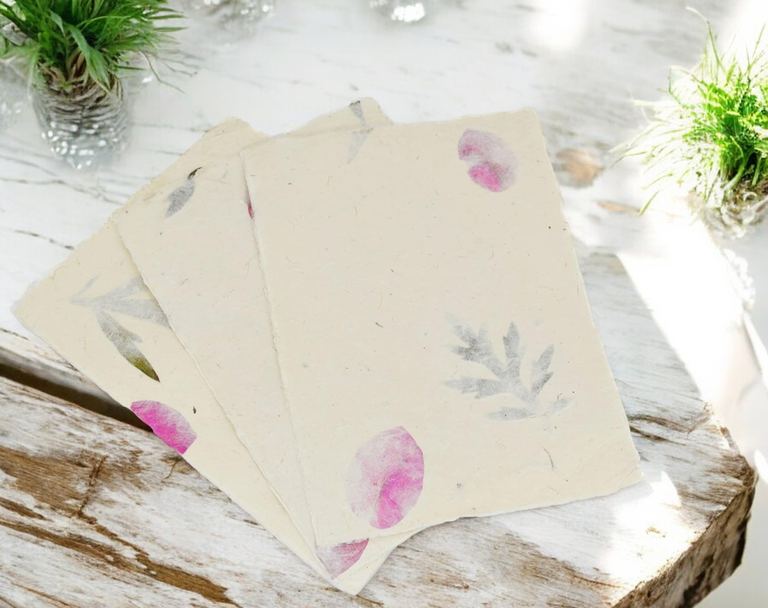 Forest Wanderer 5×7 card stock fanned out on a white table beside a small plant