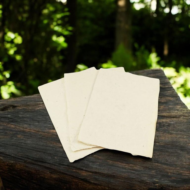 Three sheets of natural 5×7 lokta card stock on a dark log in a pine forest