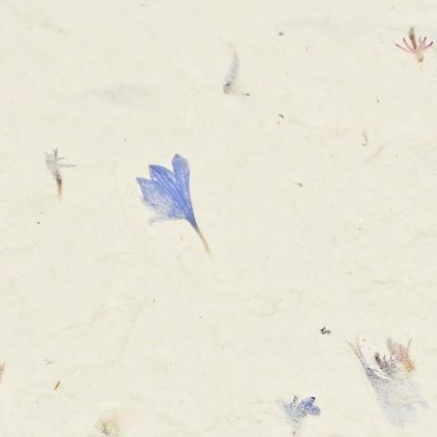 Cornflower 5×7 lokta card stock, close up