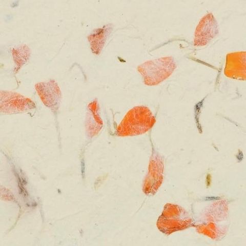 Marigold 5×7 lokta card stock, close up