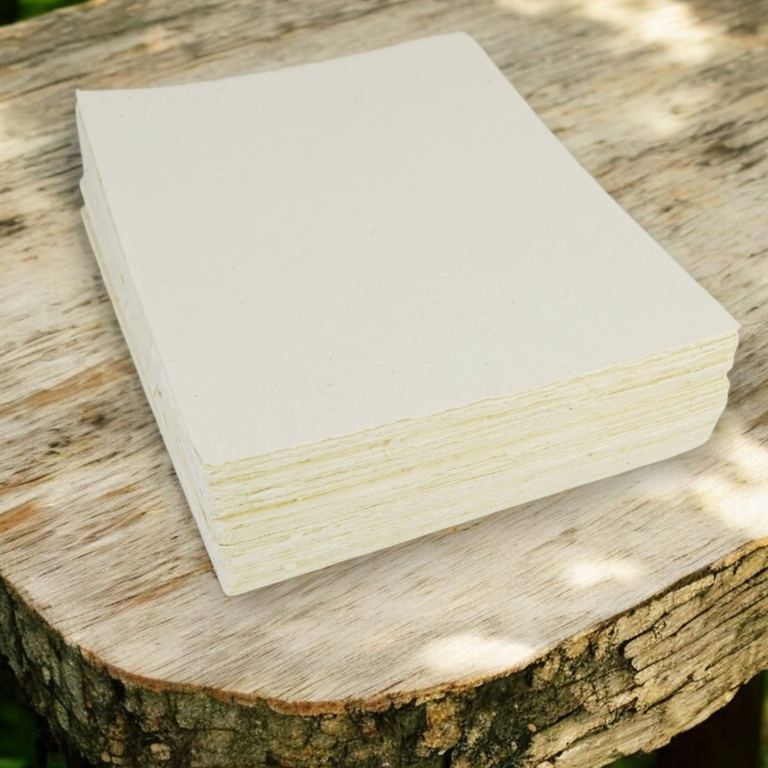 A 100-sheet stack of 8.5 × 11 lokta card stock on a sunlit tree stump
