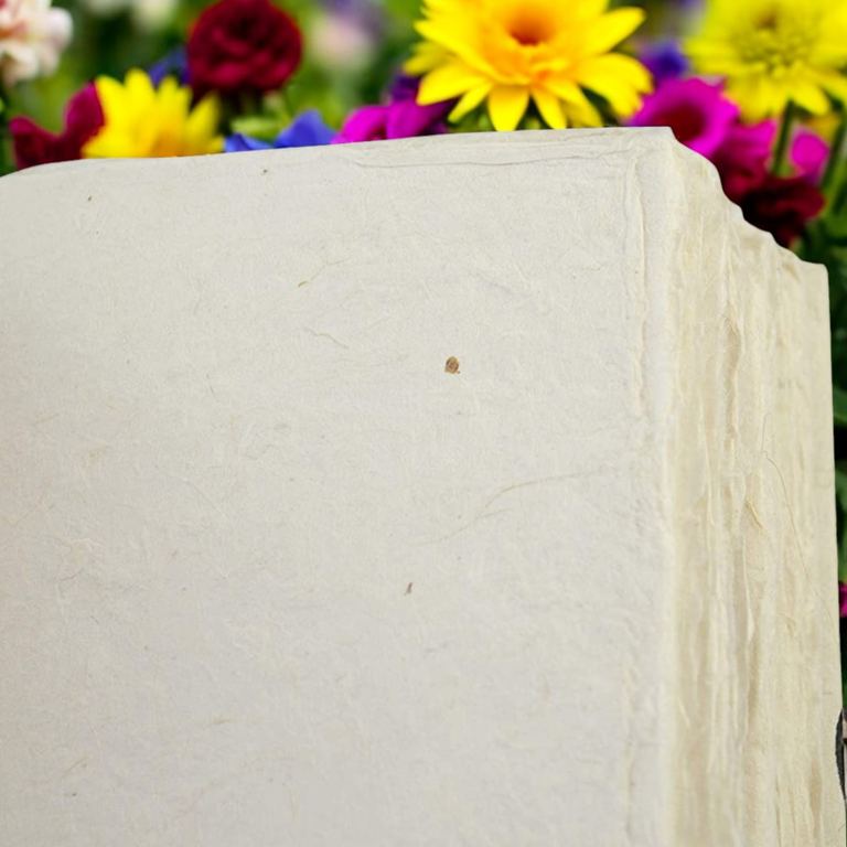 The deckled edges of a Nepali Collector journal’s pages, flowers behind