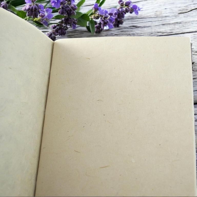 A Nepali Companion notebook open to its blank lokta pages, lavender behind
