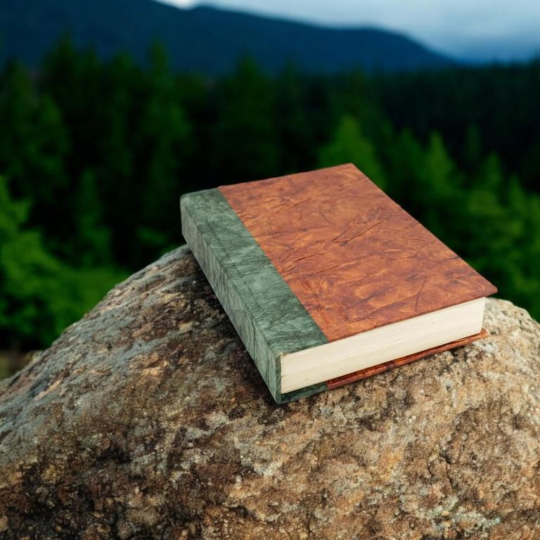 The Forest Bliss Nepali Eco journal on a rock with an evergreen forest behind