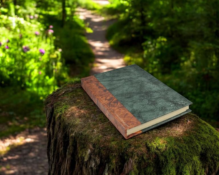 The Forest Green Nepali Eco journal on a mossy tree stump beside a forest trail