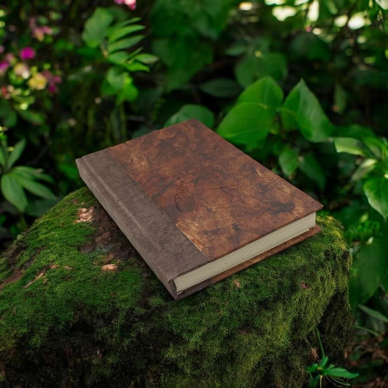 The Rustic Curry Nepali Eco journal on a mossy rock among green leaves
