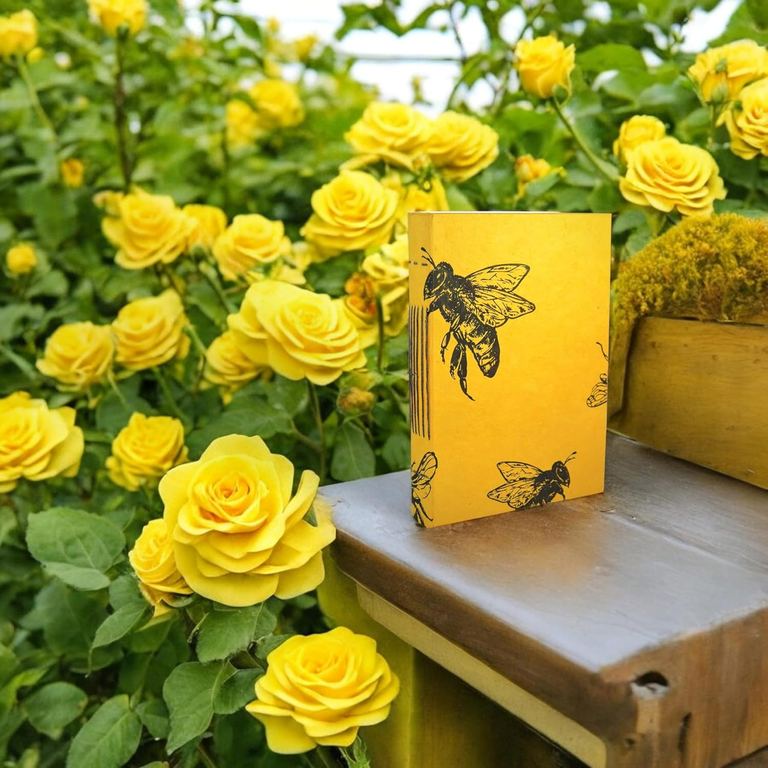 The medium Busy Bee Nepali Keeper standing among yellow roses