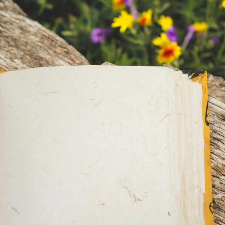 A Busy Bee Nepali Keeper open to its blank lokta pages, their deckled edges against the yellow cover