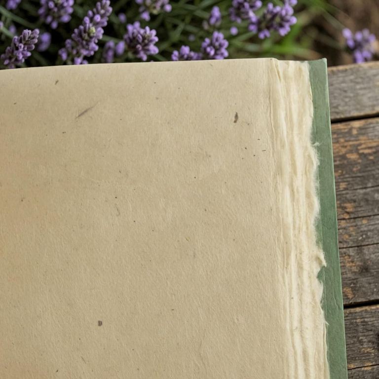 A Sage Nepali Keeper open to its blank lokta pages, the deckled edges catching the light, lavender behind