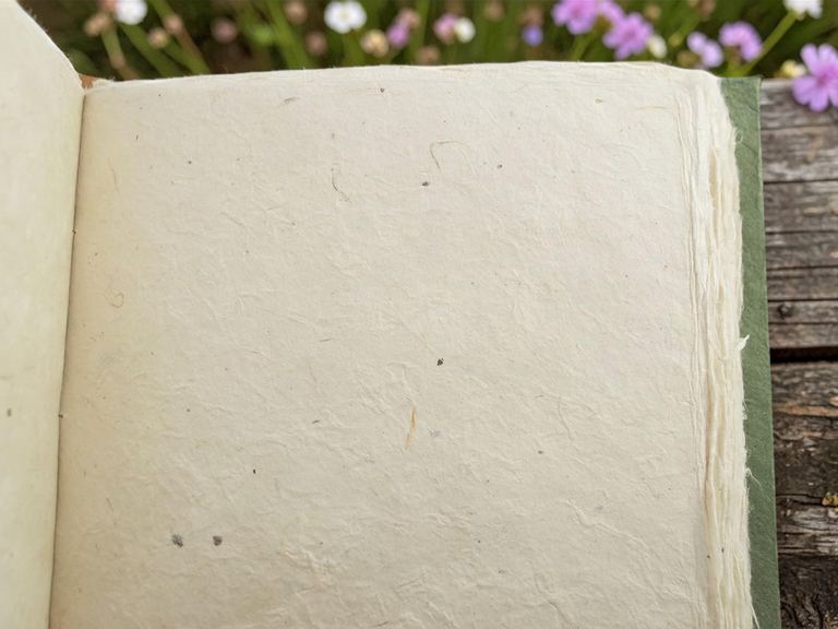 A Nepali Namaste journal open to its blank lokta pages, deckled edges showing, flowers behind