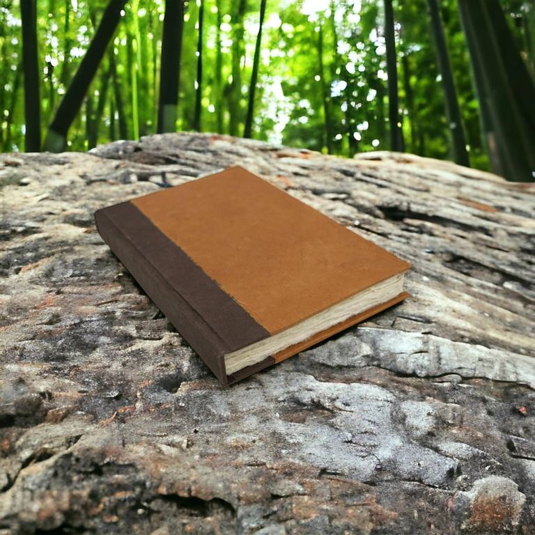 The Terra Cotta Nepali Namaste journal on a fallen log in a bamboo forest