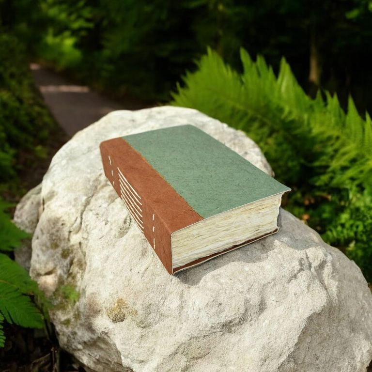 The Sage Nepali Wayfinder journal on a white boulder among ferns beside a forest path